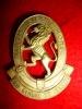 9th Light Horse Cap Badge